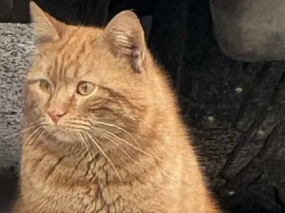 Фото: Лариса Ушакова&nbsp;