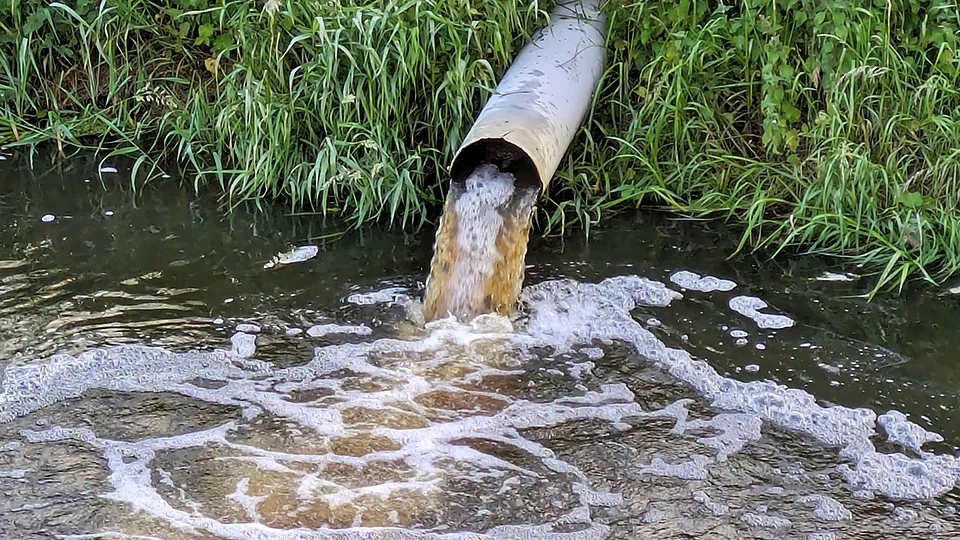 Фото: istockphoto.com/Antony Robinson