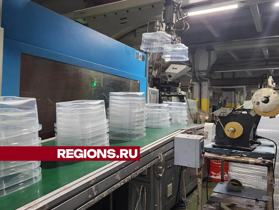 Фото: Валерия Тингаева