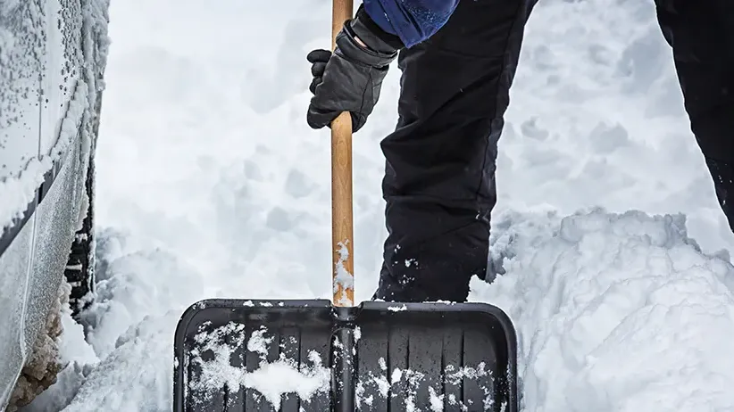 istockphoto.com/mbbirdy