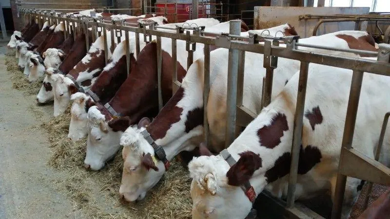 Министерство сельского хозяйства и продовольствия МО