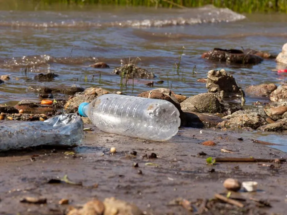 «Всю ночь с закрытыми окнами без кислорода»: жители Дмитрова бьют тревогу из-за зловонной реки