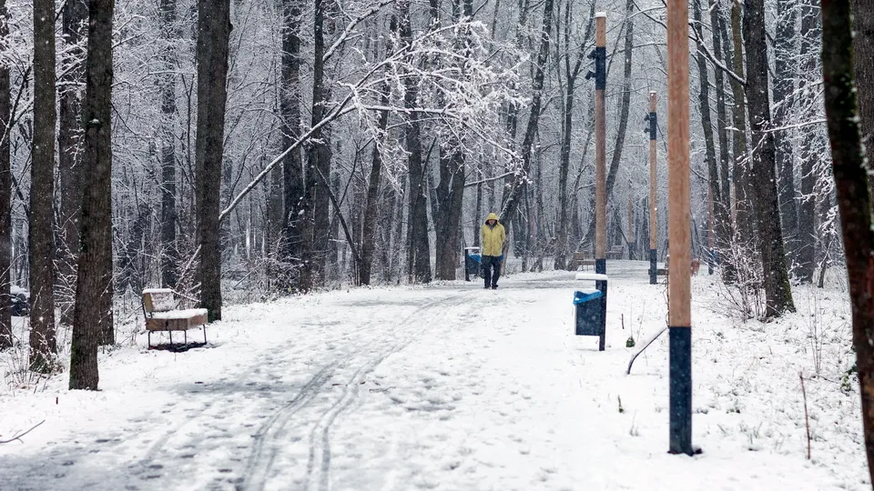 Фото: медиасток.рф