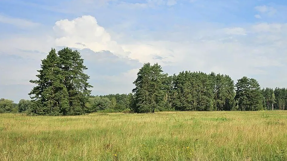 Фото: Минэкологии МО