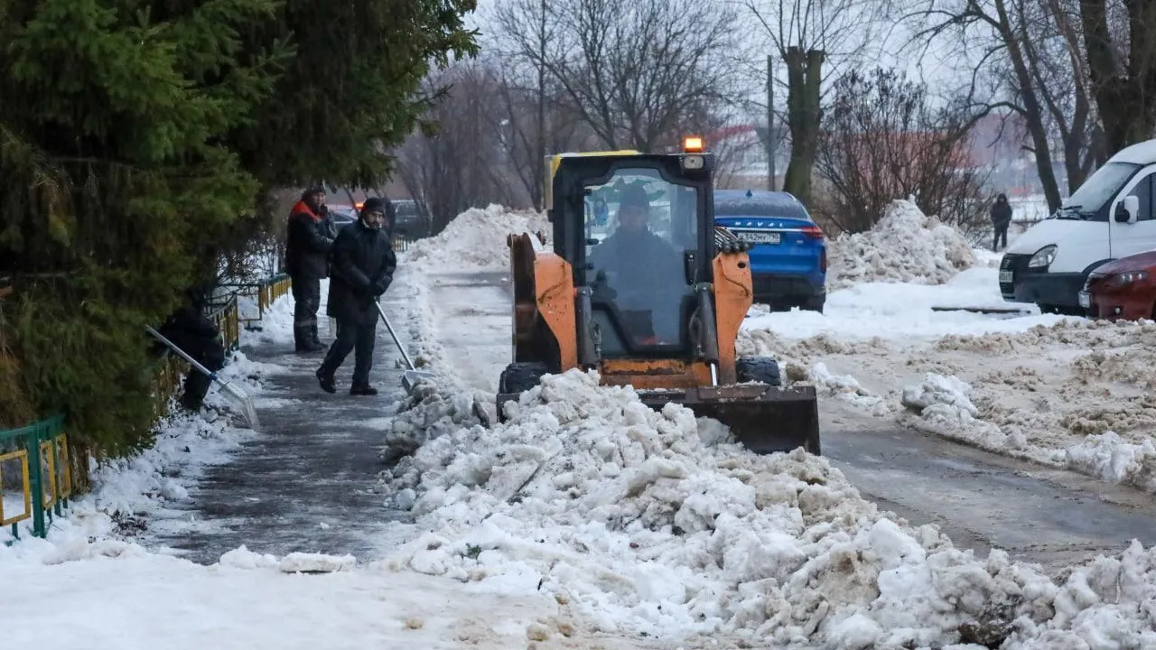 Фото: пресс-служба администрации г.о. Лобня