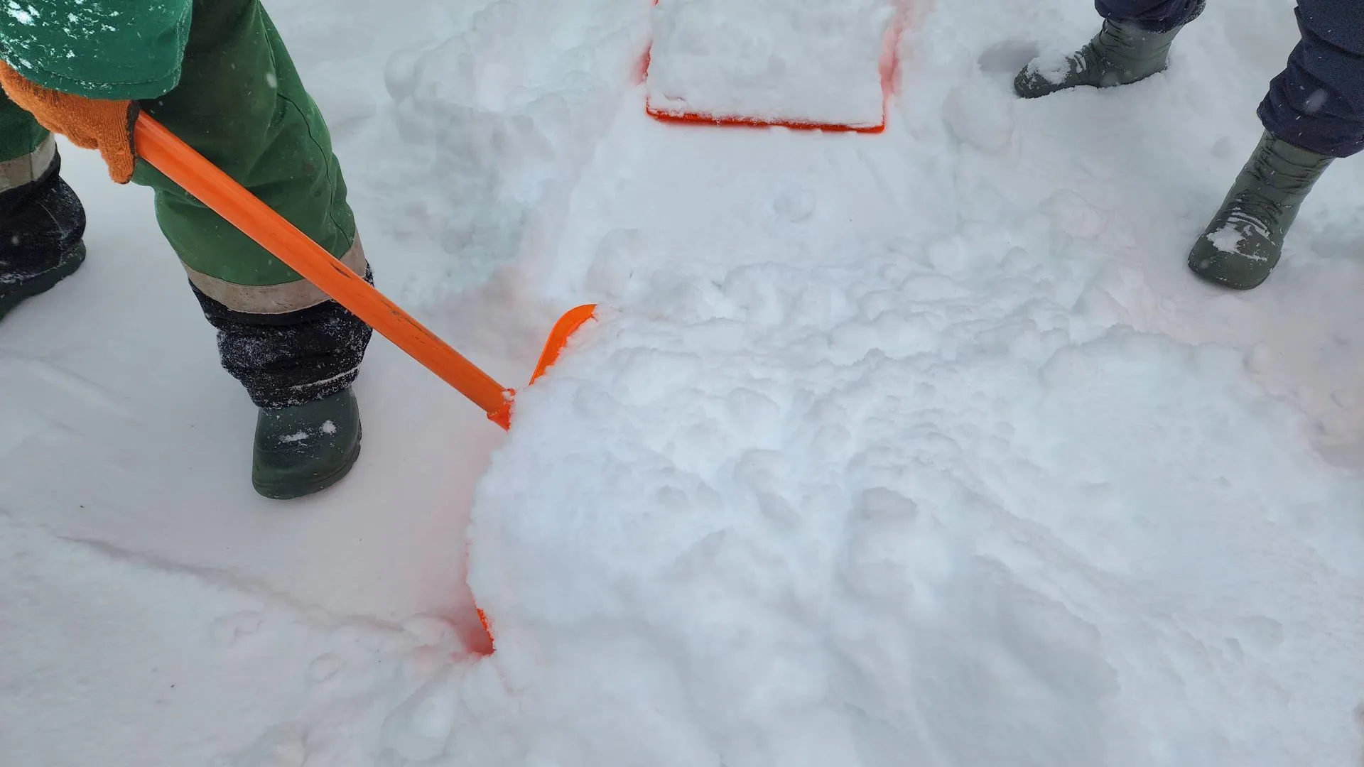 МедиаБанк Подмосковья/Юлия Унрау
