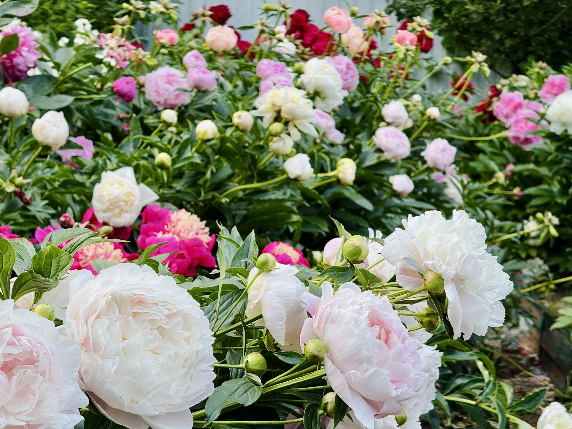 Фото: Ольга Стаферова