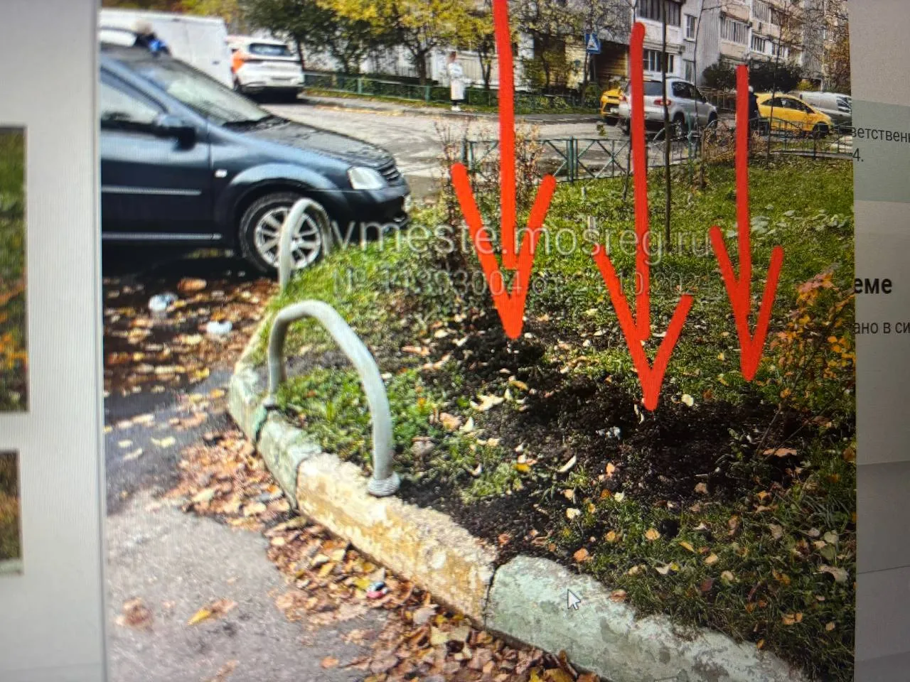 Фото: REGIONS&nbsp;