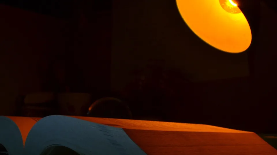 Фото: pxhere.com