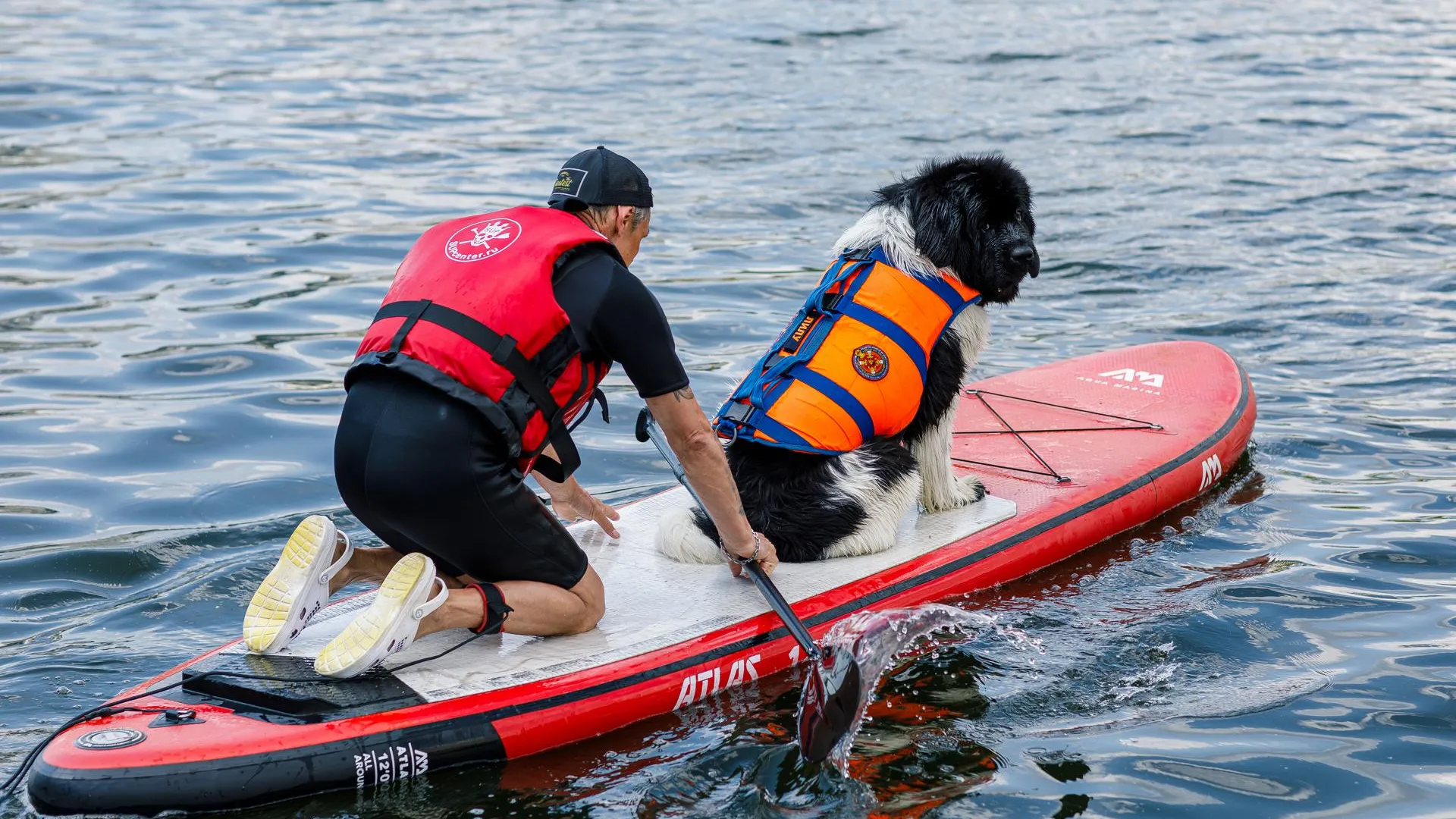 медиасток.рф