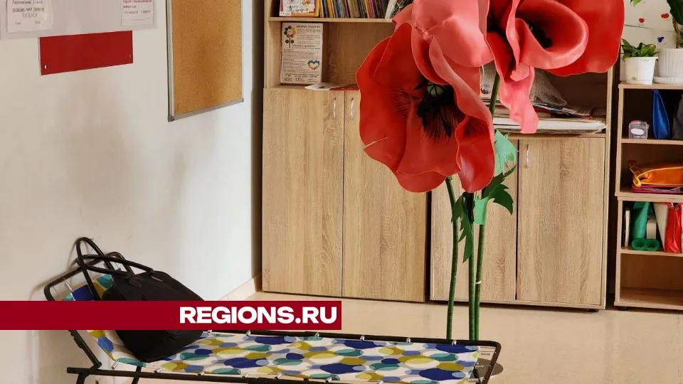 Фото: Елена Лабзина