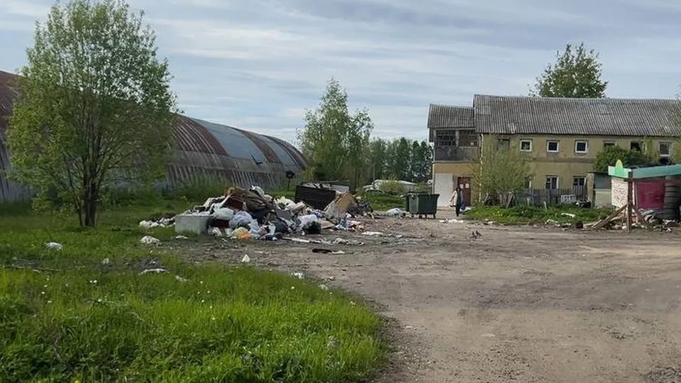 Фото: t.me/Территориальный отдел Снегири