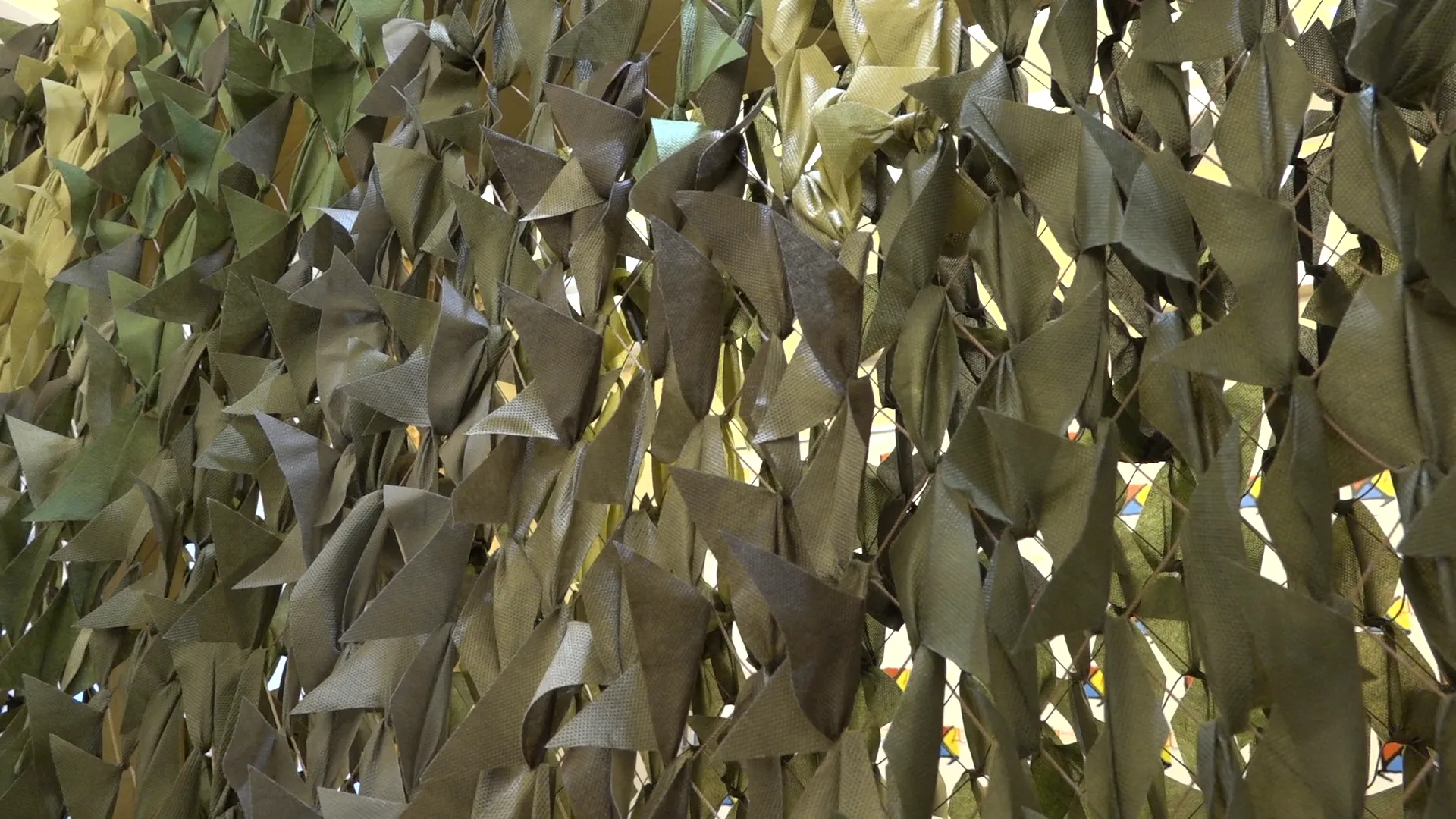 Фото: МедиаБанк Подмосковья/Елена Аботурова