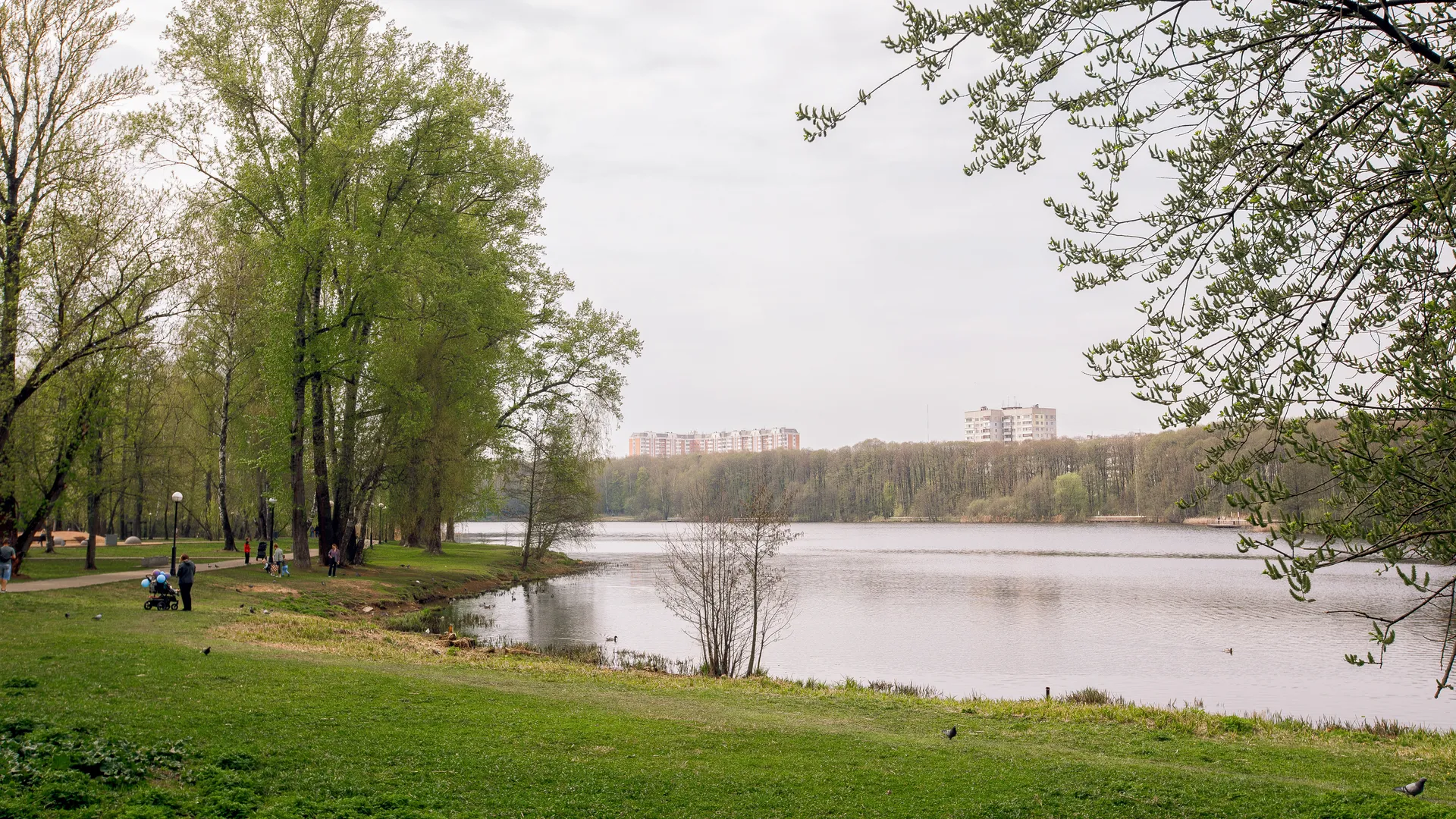 медиасток.рф