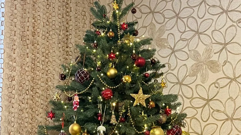 Светлана Стофорандова