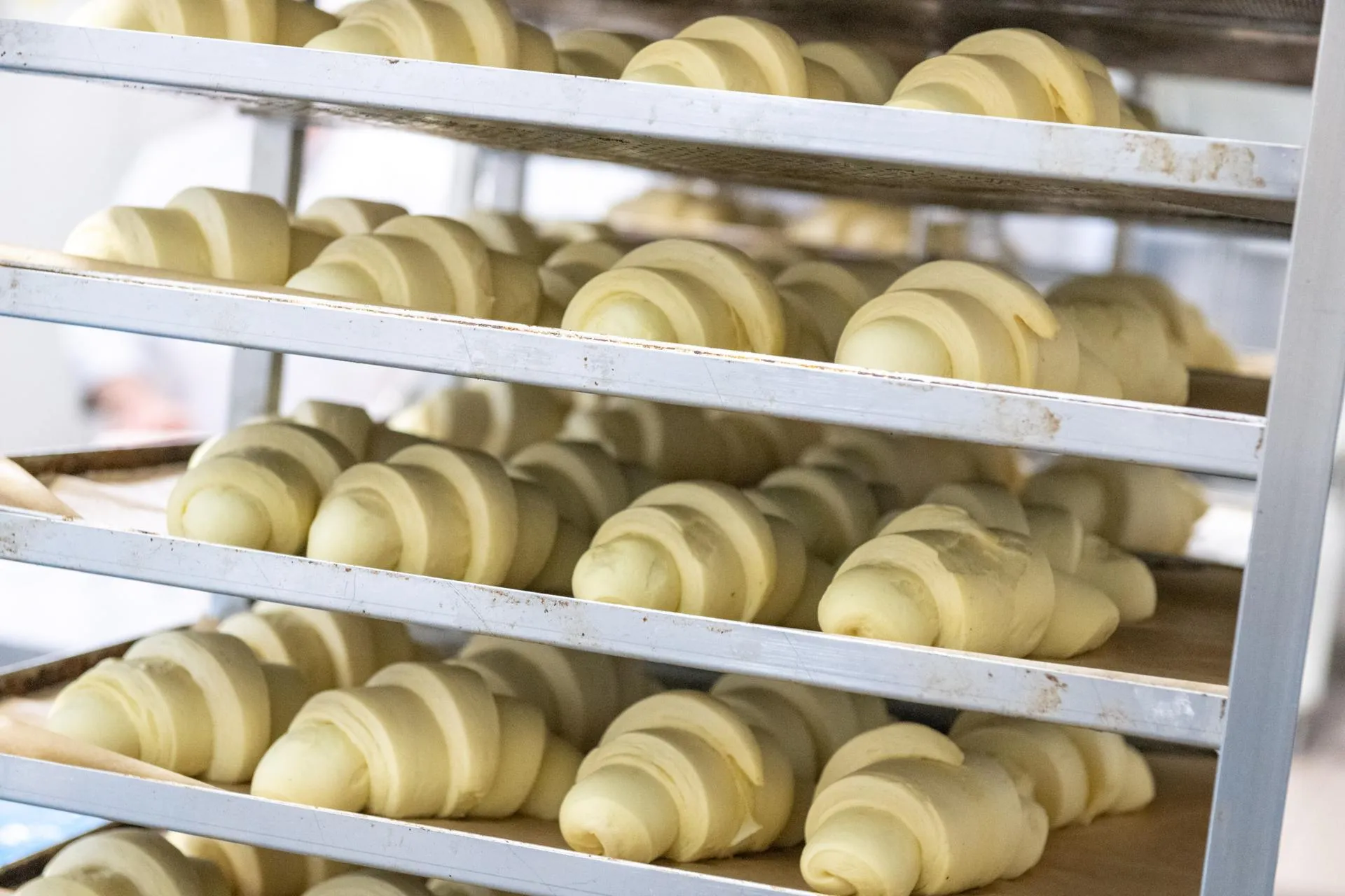 Фото: Анастасия Харченко