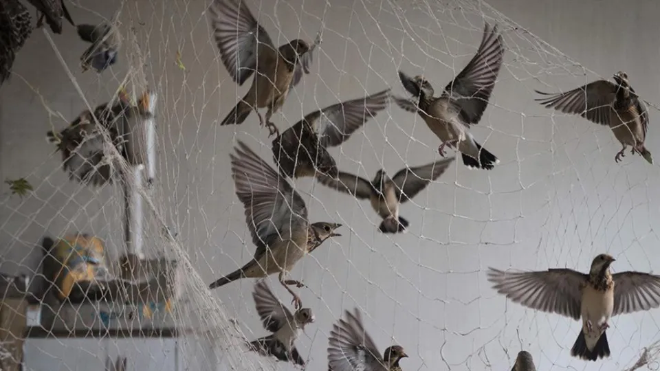 Фото: REGIONS/Сгенерировано нейросетью