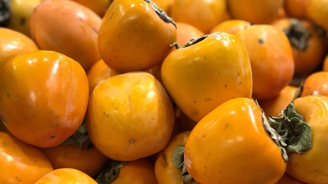 Фото: REGIONS/Полина Крачун