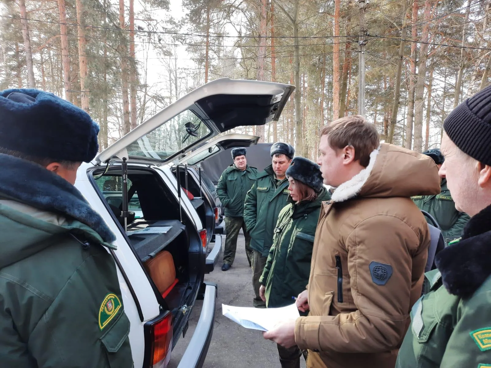 Фото: Комитет лесного хозяйства Московской области
