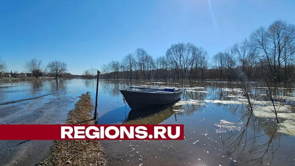 Фото: пресс-служба администрации городского округа Луховицы