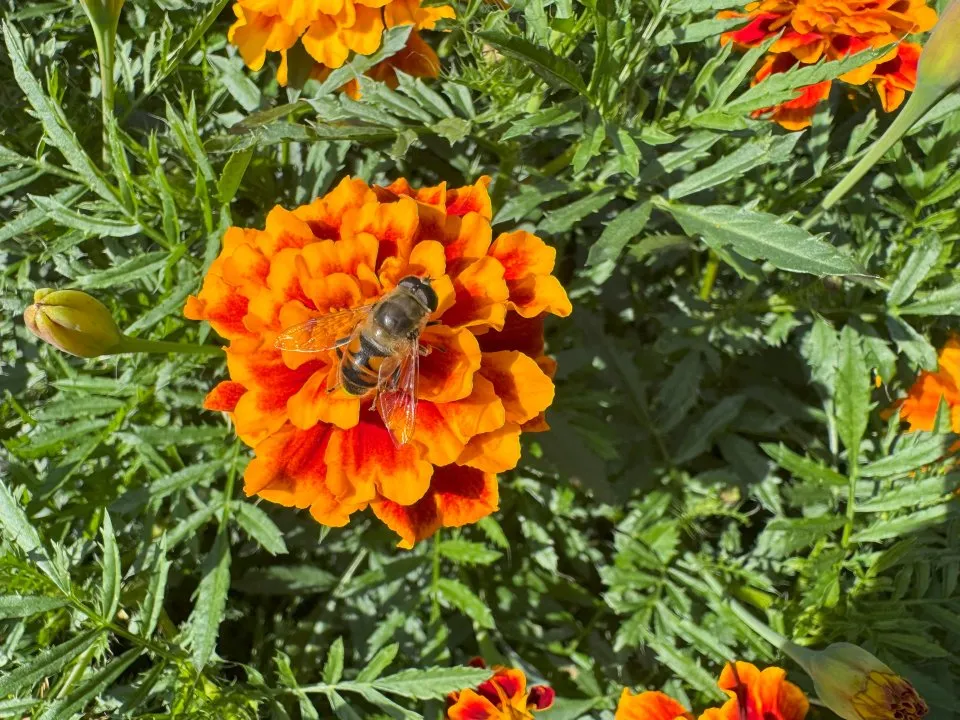 Фото: REGIONS/Илья Попов