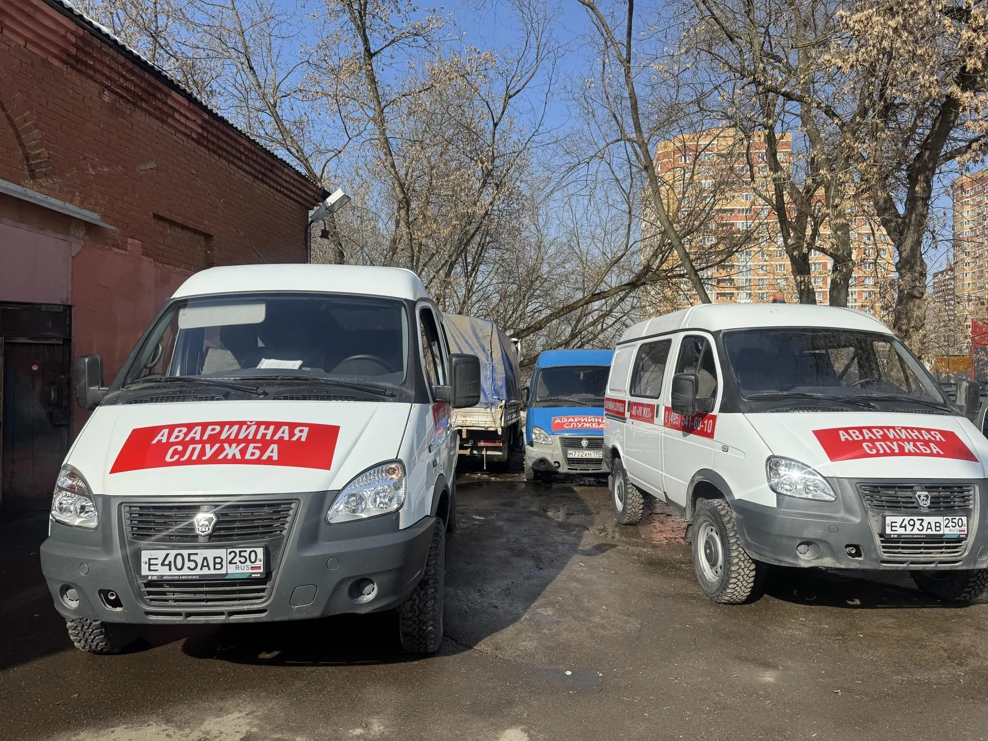 Полина Абраменко