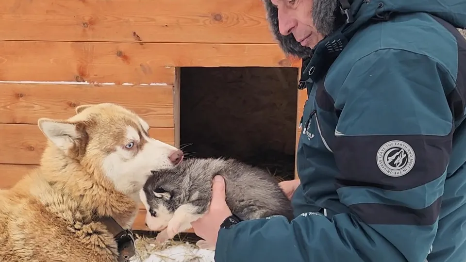 Фото: Ольга Антонова