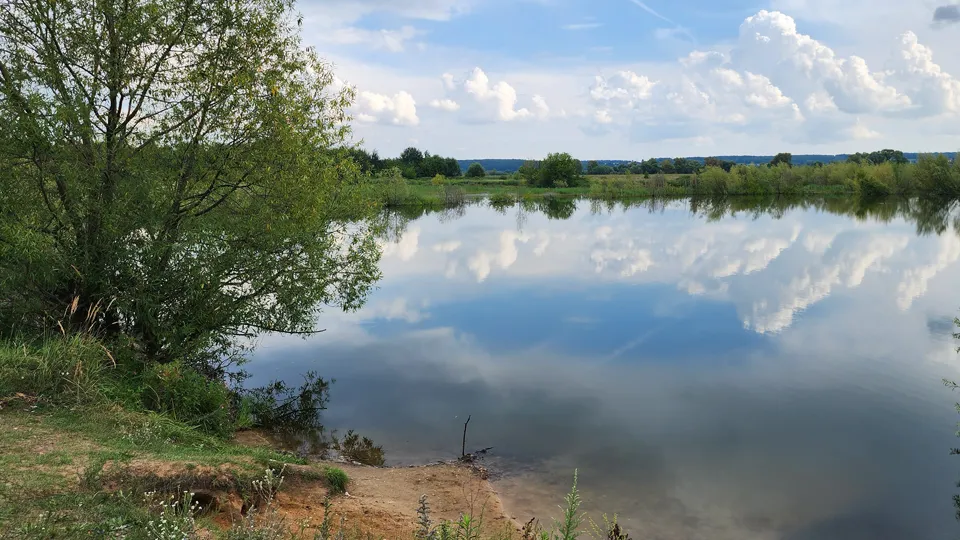 Фото: МедиаБанк Подмосковья/Марина Анисимова