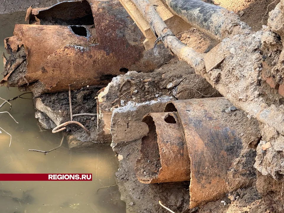 Фото: Мария Шматкова