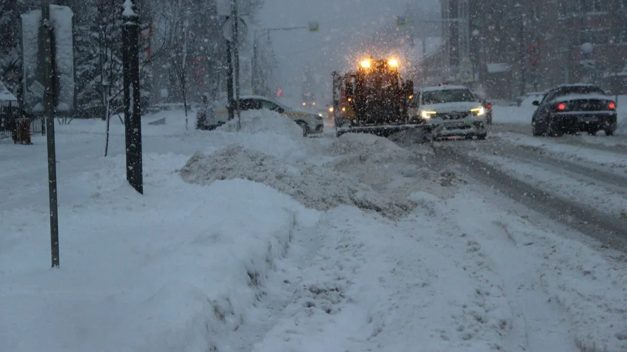 Фото: Василий Тремасов