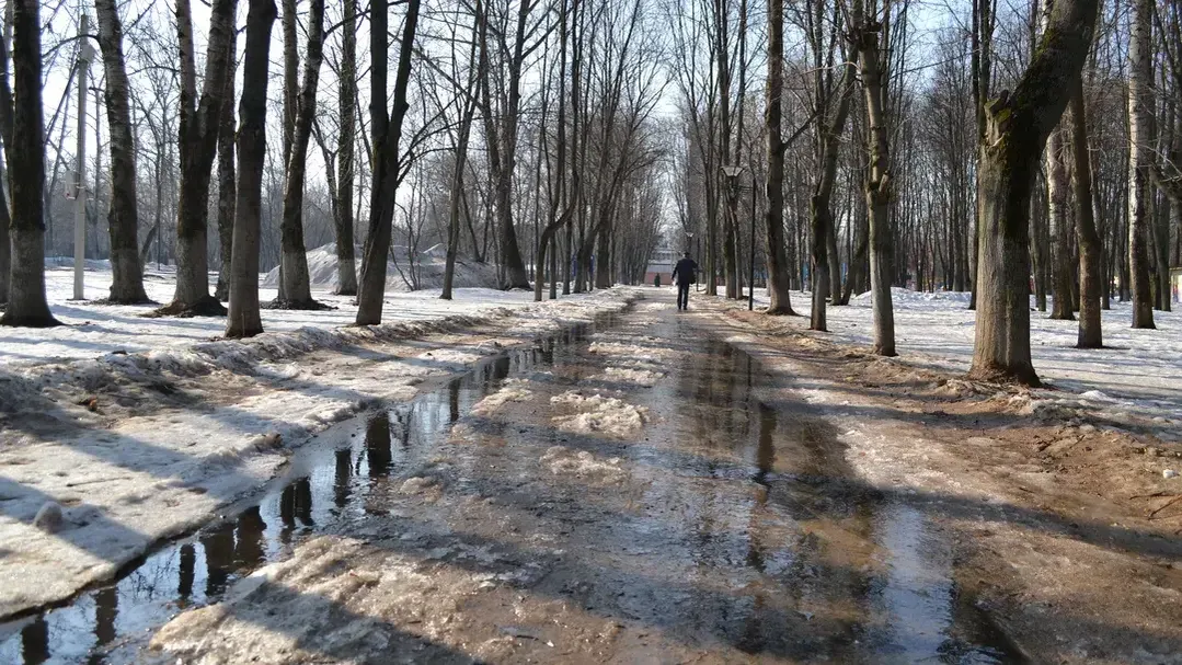 медиасток.рф