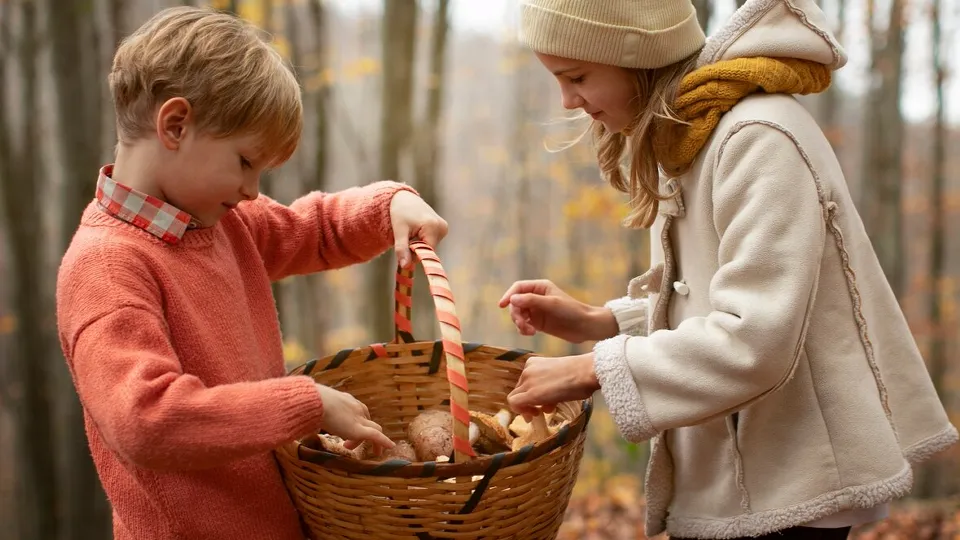 Фото: freepik.com