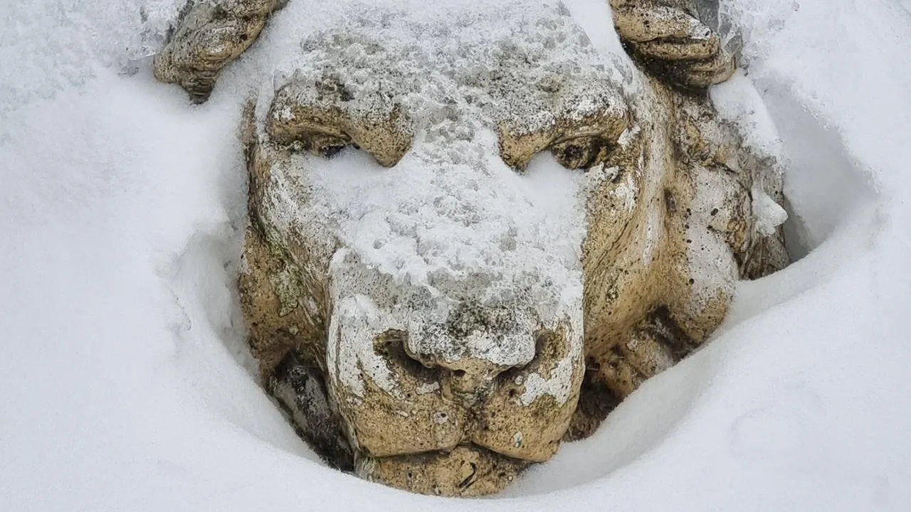 Андрей Башинский