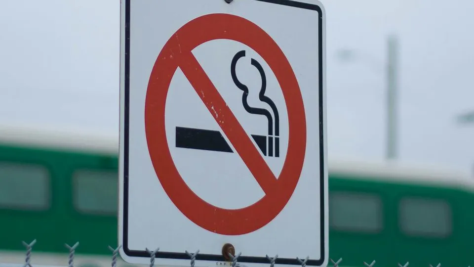 Фото: unsplash.com