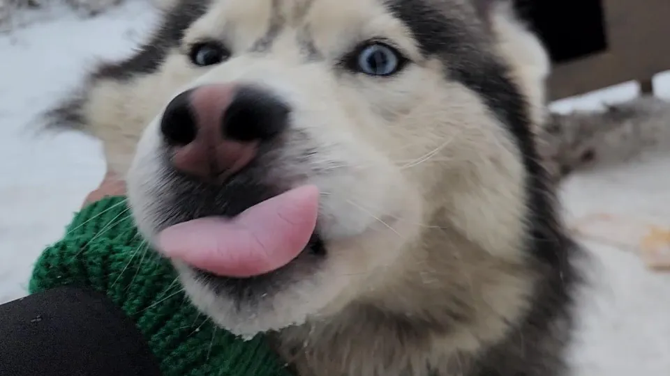 Фото: Ольга Антонова