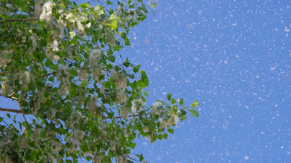 Фото: istockphoto.com