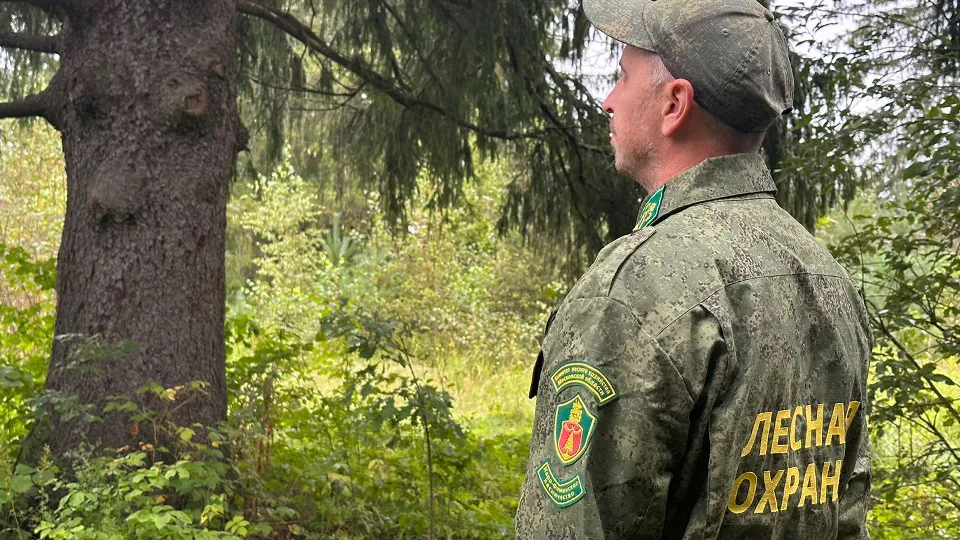 Фото: МедиаБанк Подмосковья/Лилия Закирова