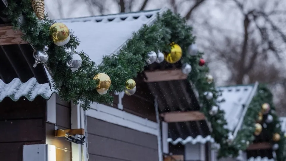 Фото: vk.com/Парки мунципального округа Чехов