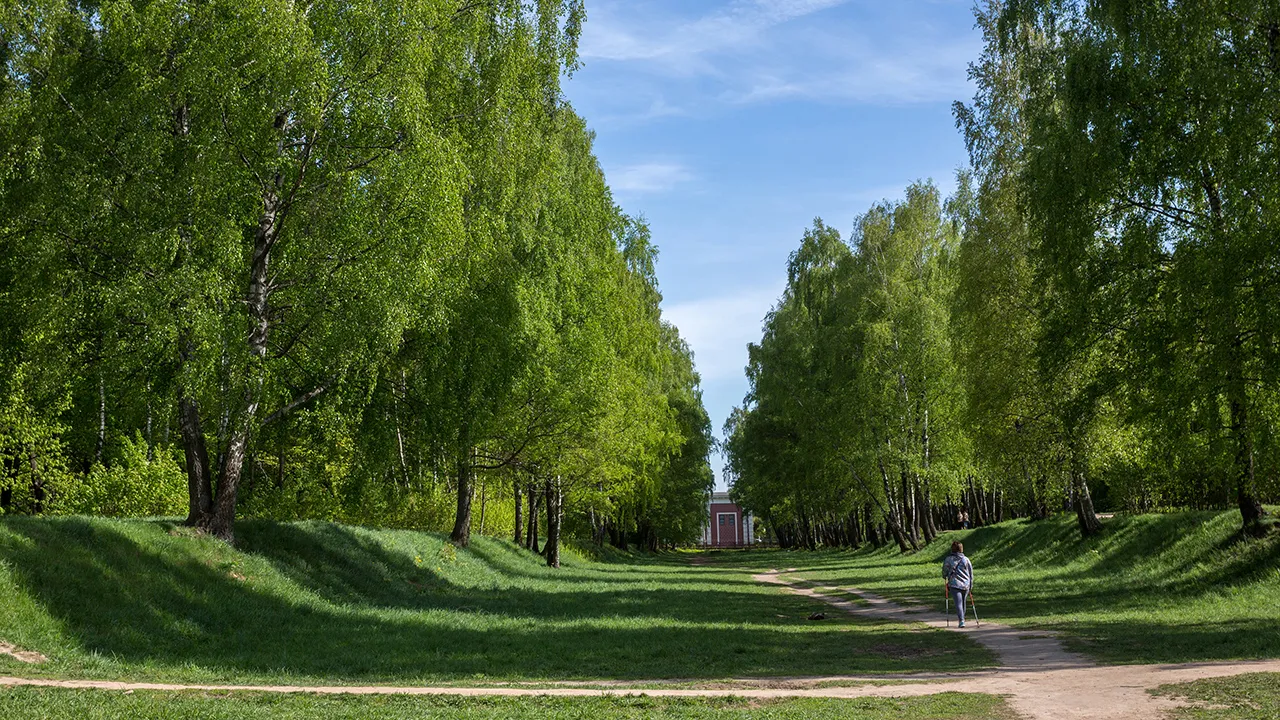 Фото: ТАСС/Марина Круглякова