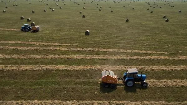 Около 23 тысяч га земли передали сельхозпроизводителям в МО с 2016 года