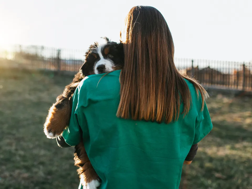 Фото: istockphoto.com