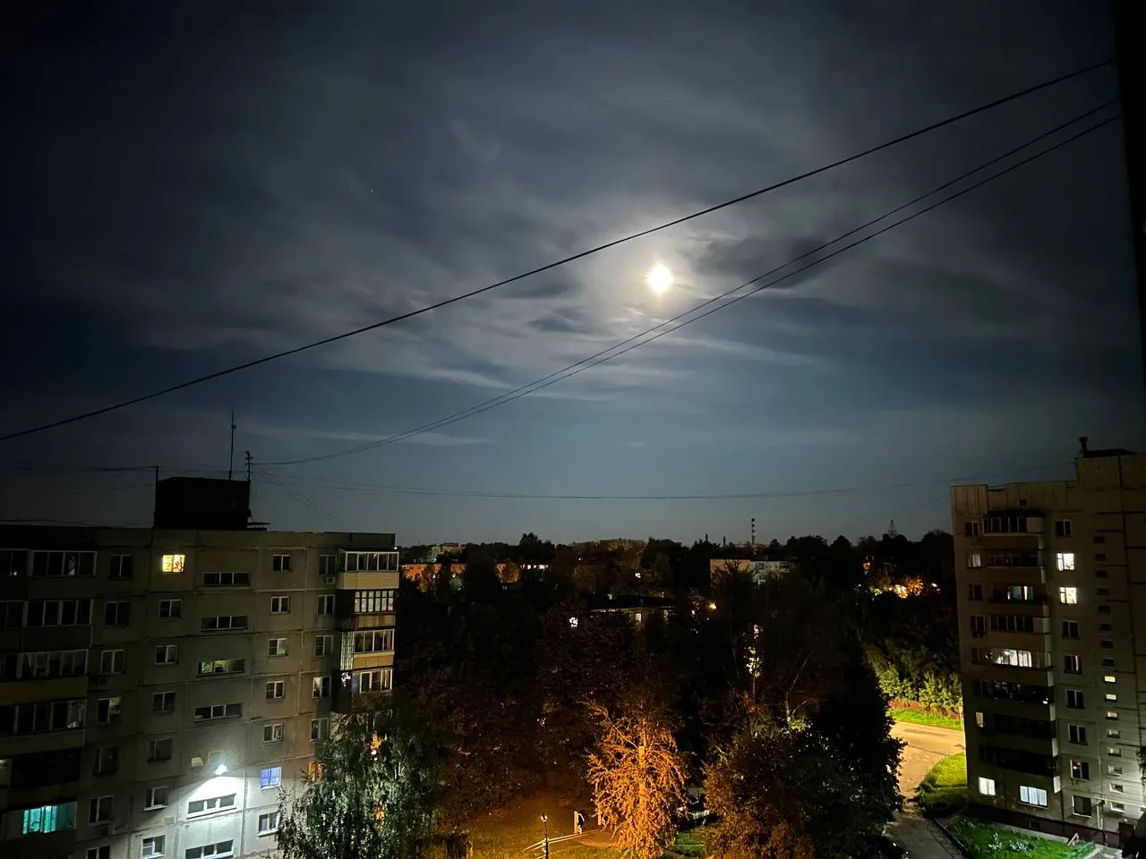 Фото: МедиаБанк Подмосковья/Марина Анисимова