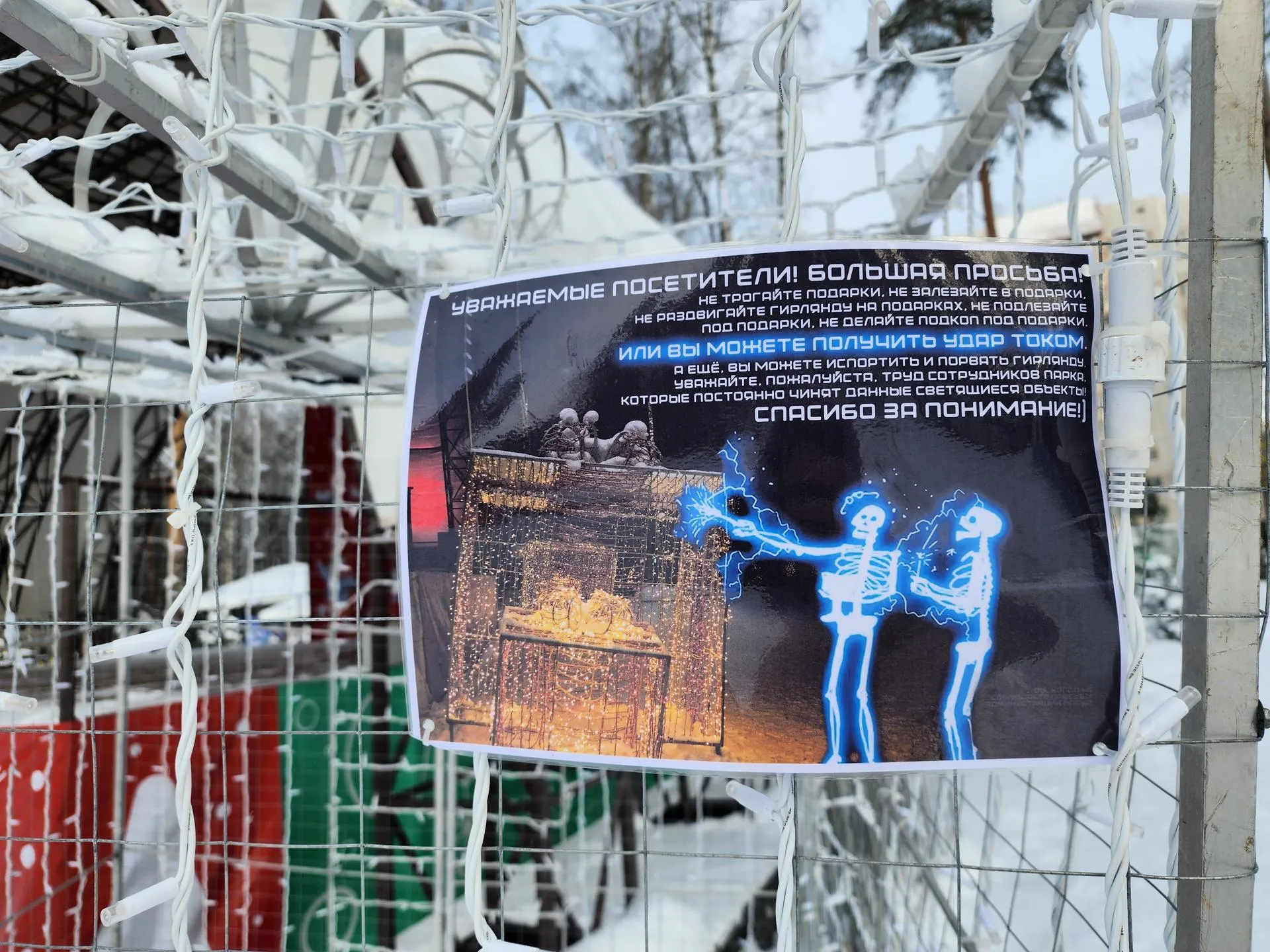 Фото: Ксения Пашуто