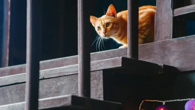 Фото: ru.freepik.com