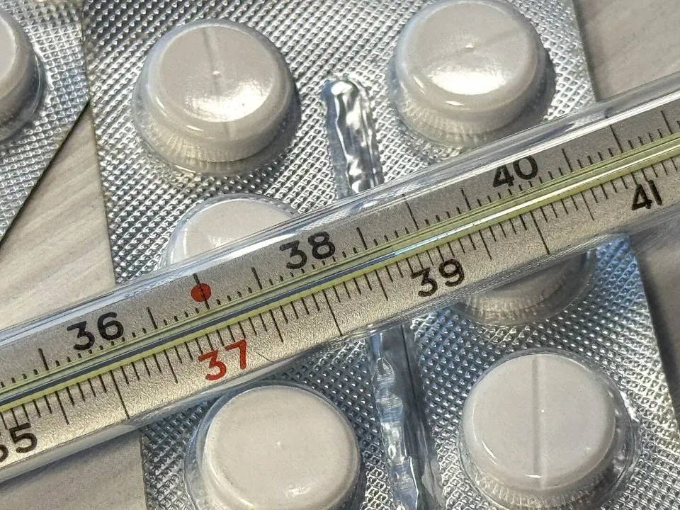 Фото: REGIONS/Владимир Ерастов