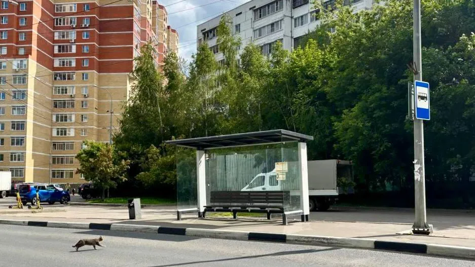 Фото: Минтранс Подмосковья