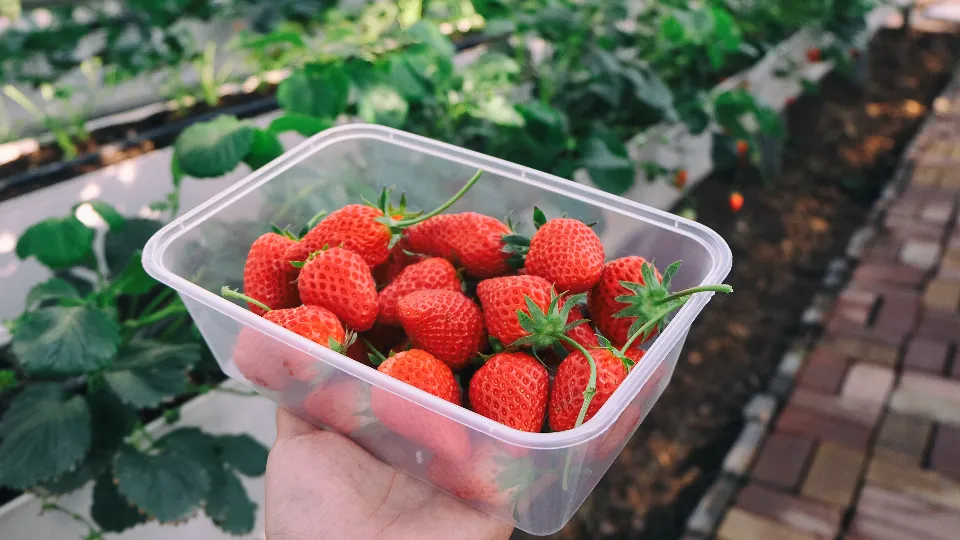 Фото: freepik.com