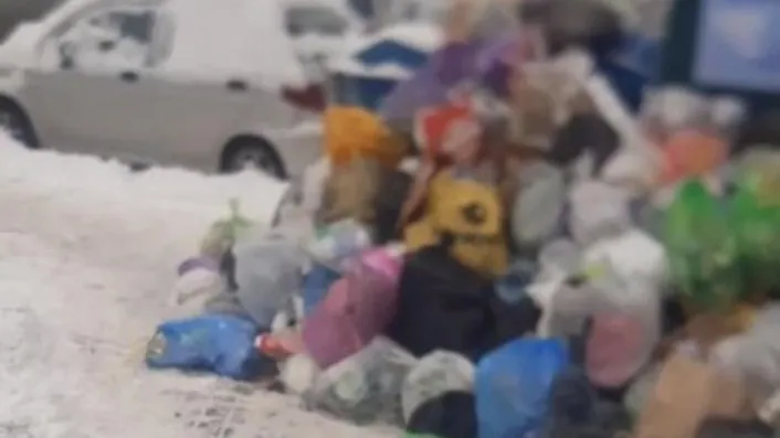 Переполненная мусорка. Скриншот из видео в ТГ-канале «Город Видное»