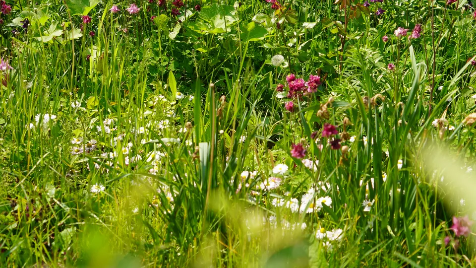 Фото: REGIONS\Наталия Надточая