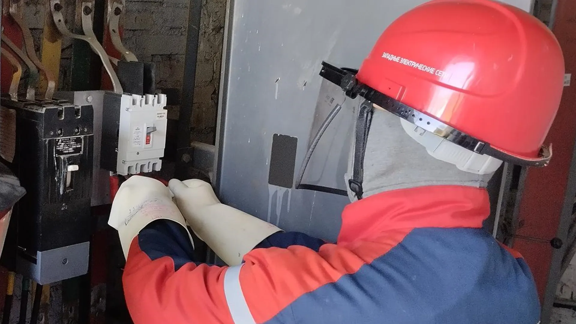 Фото: пресс-служба губернатора и правительства Московской области